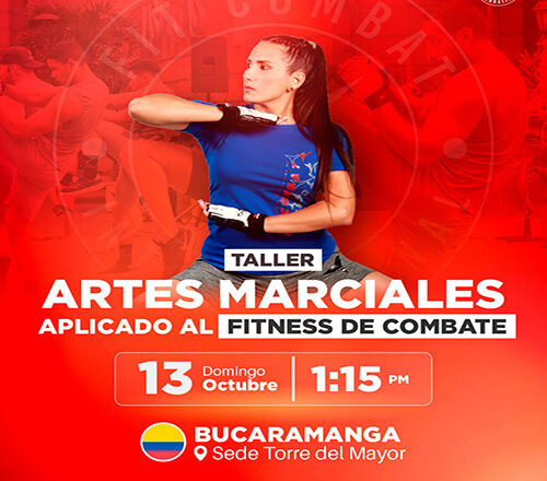 Taller Artes Marciales (Bucaramanga)