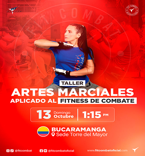 Taller Artes Marciales (Bucaramanga)