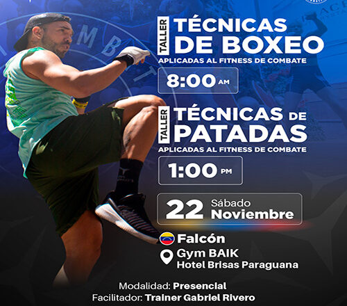 Taller de Técnicas de Boxeo & Taller Técnicas de Patadas (Falcón)