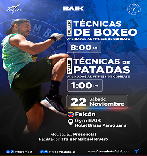 Taller de Técnicas de Boxeo & Taller Técnicas de Patadas (Falcón)