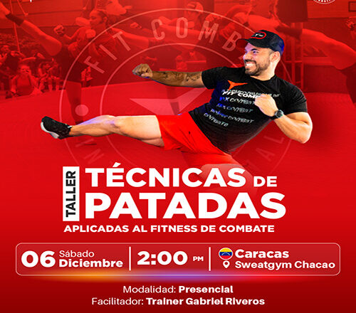 Taller Técnicas de Patadas (Caracas)