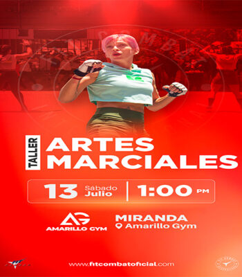 Taller de Artes Marciales (Miranda)
